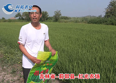 松原前郭红光农场 前郭县红光农场欠工人养老保险钱